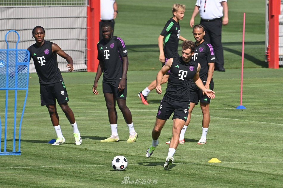 稳健心态的 稳健心态的